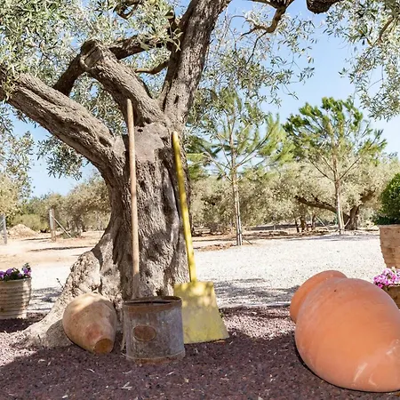 Santolina - En Con Piscina Privada, Jardin Y Barbacoa - Deltavacaciones *